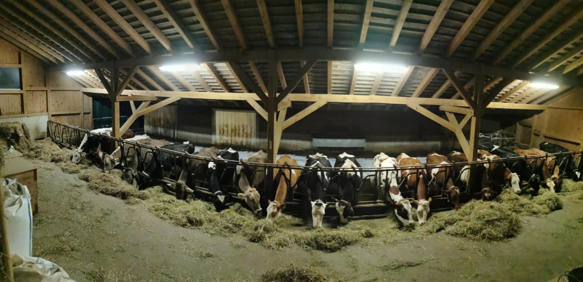 Emmental Ferien Lejlighed Langnau im Emmental Eksteriør billede