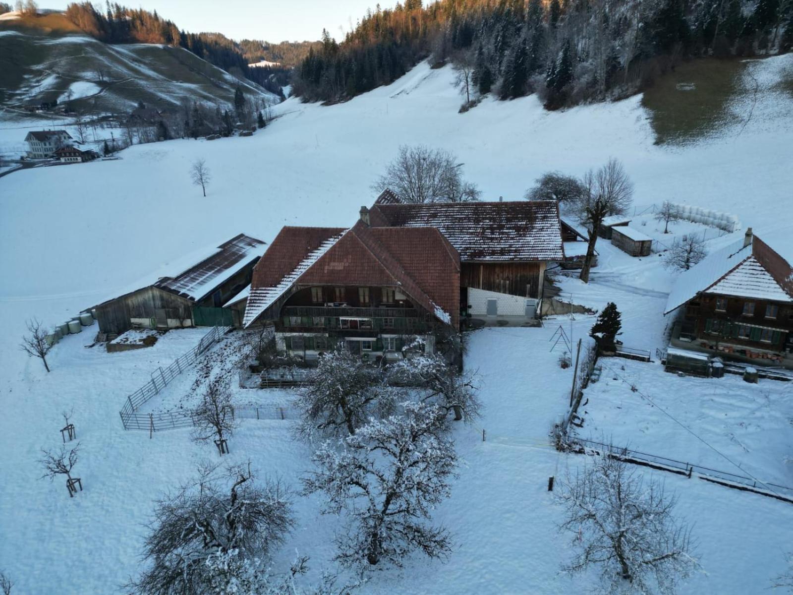 Emmental Ferien Lejlighed Langnau im Emmental Eksteriør billede