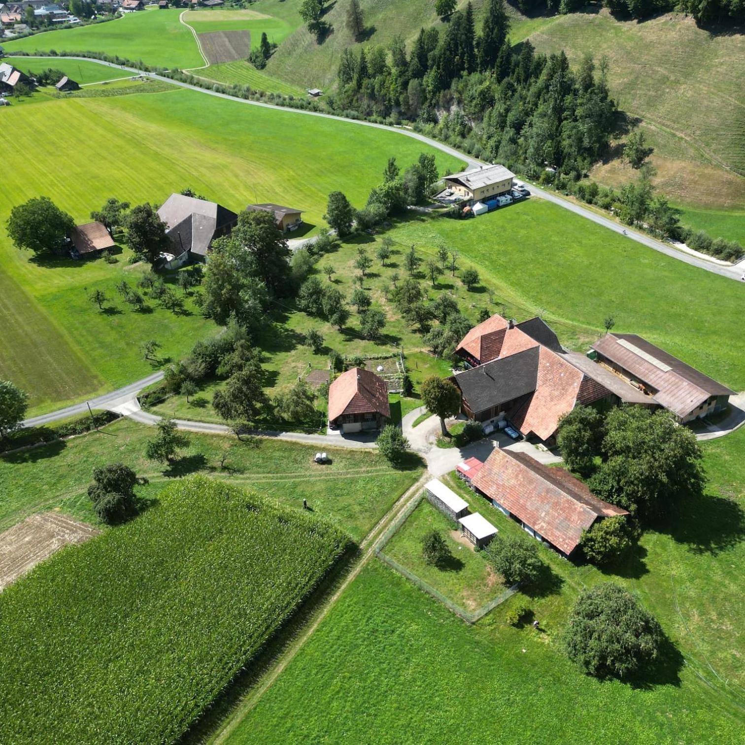 Emmental Ferien Lejlighed Langnau im Emmental Eksteriør billede