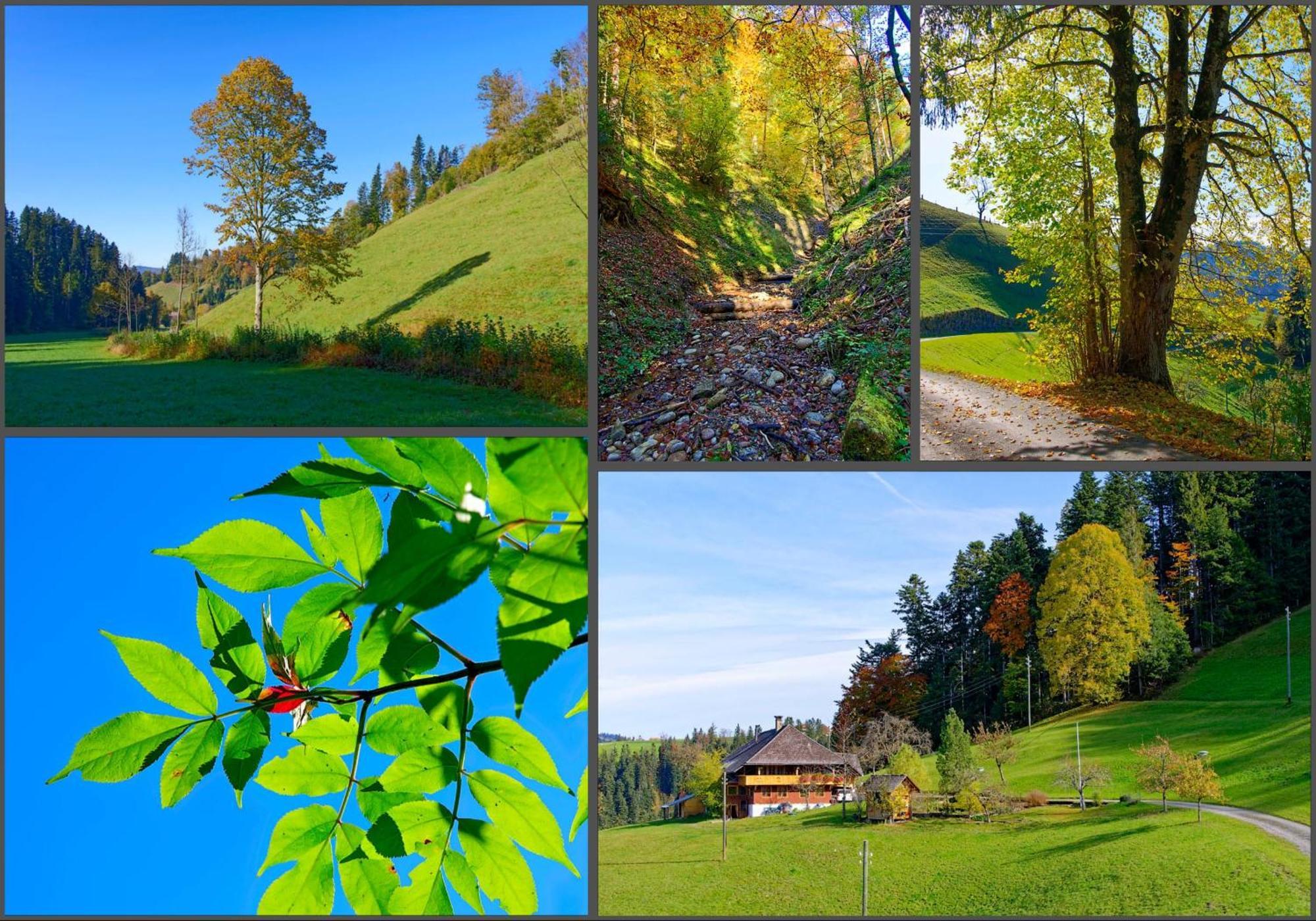 Emmental Ferien Lejlighed Langnau im Emmental Eksteriør billede
