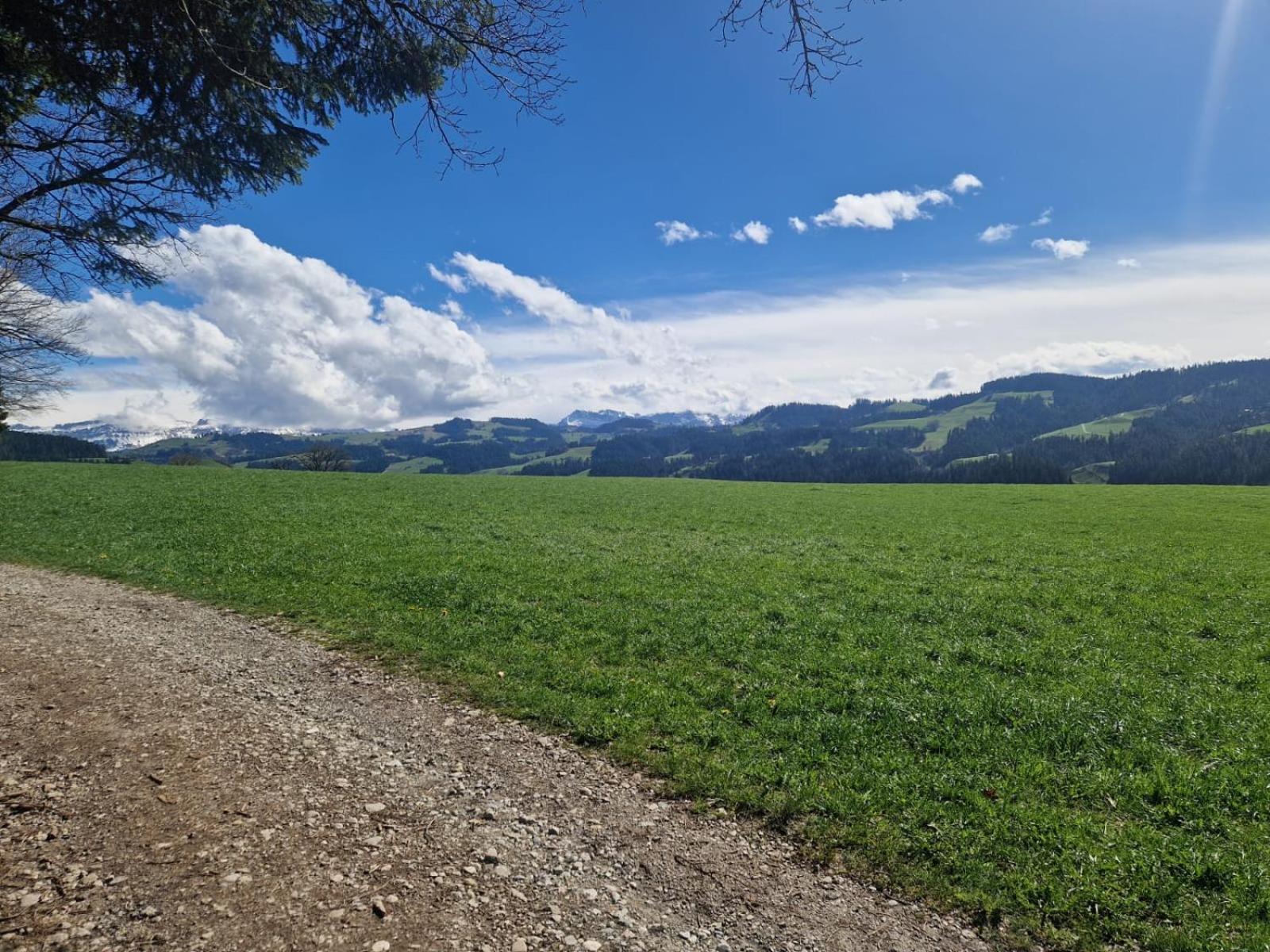 Emmental Ferien Lejlighed Langnau im Emmental Eksteriør billede