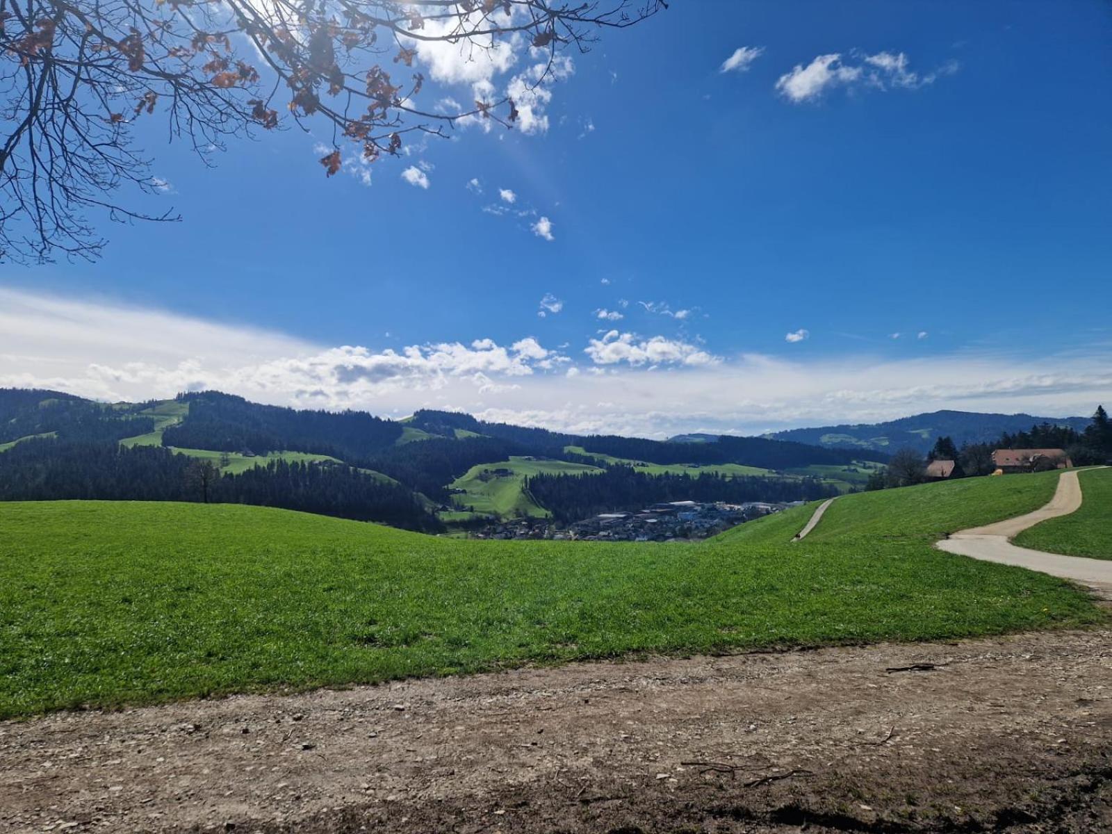Emmental Ferien Lejlighed Langnau im Emmental Eksteriør billede